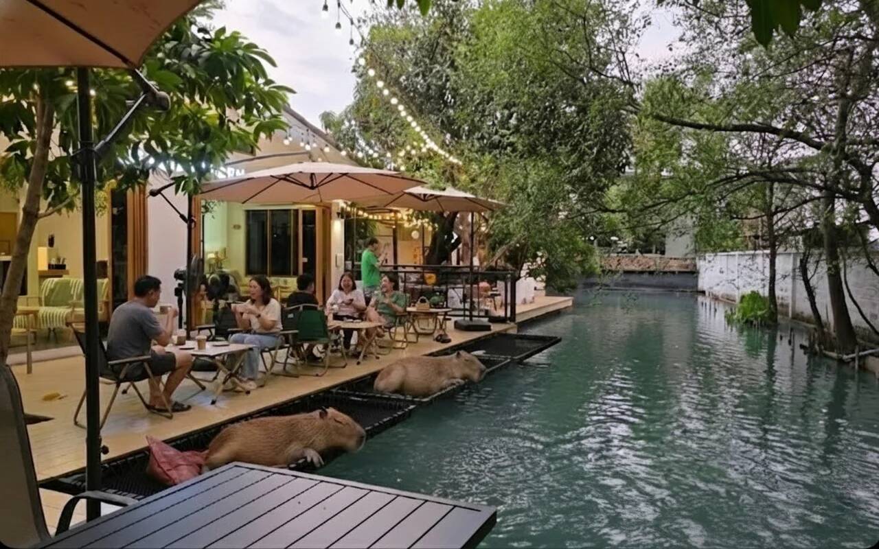 Little Zoo Garden - gemütliches Capybara Café in Bangkok