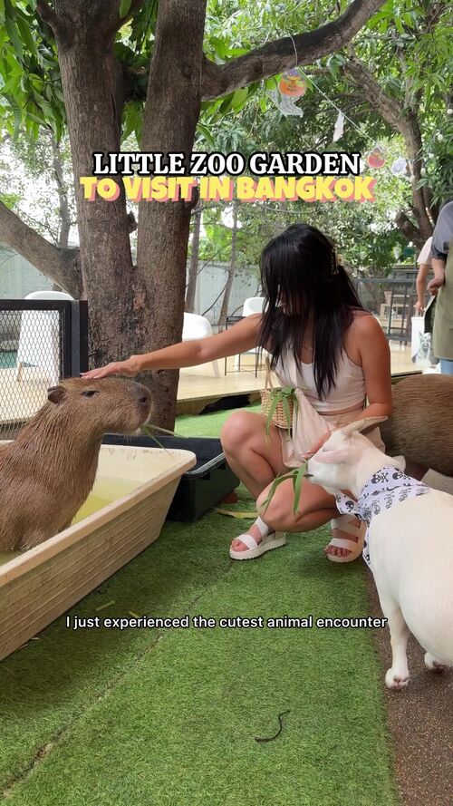 TikTok video by @celinelinarte