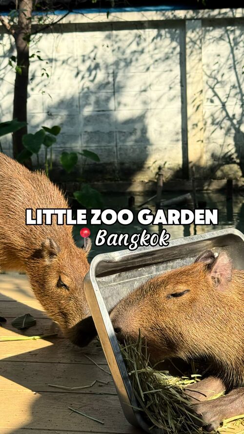 TikTok video by @manons.travel