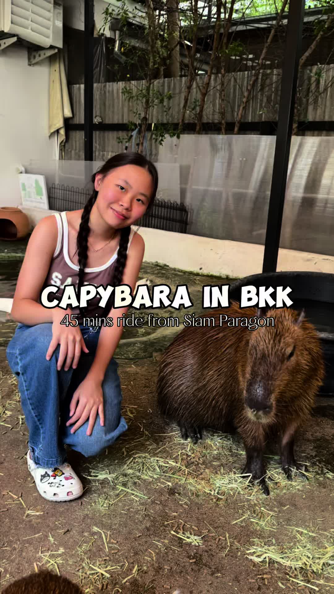 @evelynneli_ によるTikTok動画