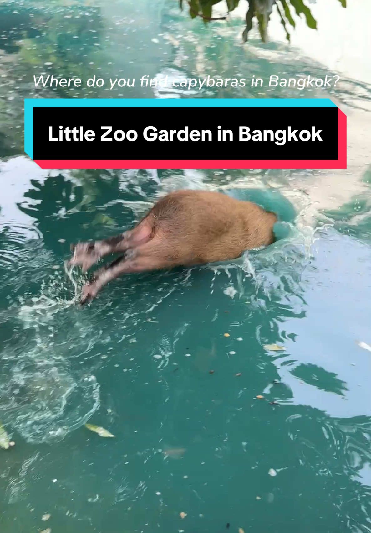 TikTok video by @ricetan