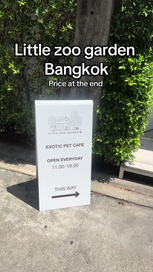 @lauramelia416 によるTikTok動画