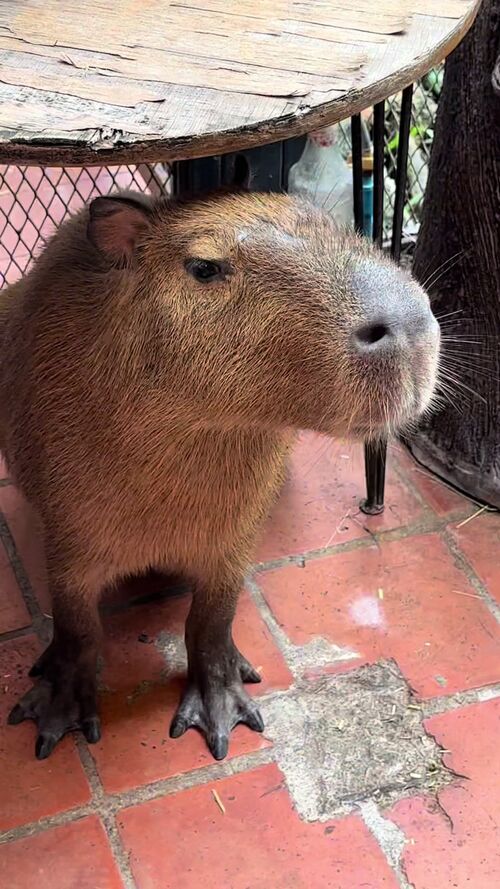 @jdavo59 によるTikTok動画