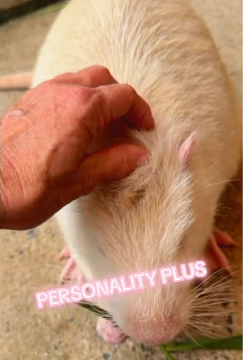 @chellemmmmmm によるTikTok動画