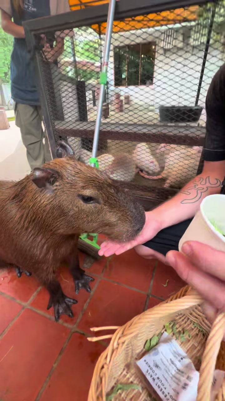 @justintime397 によるTikTok動画