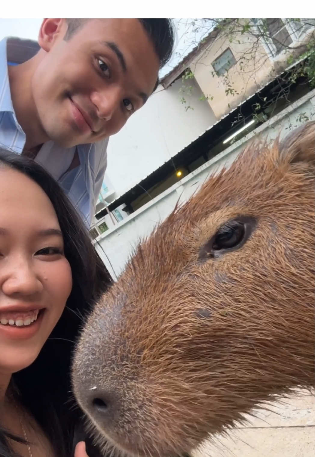 TikTok video by @tikaboonnak