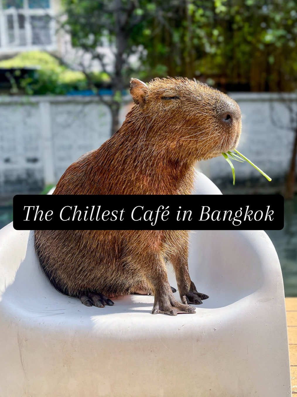 @txmama0927 によるTikTok動画